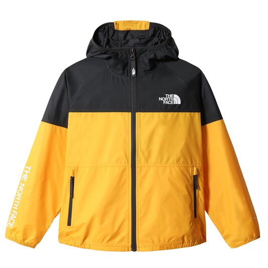 The North Face Never Stop WindWall Hoodie