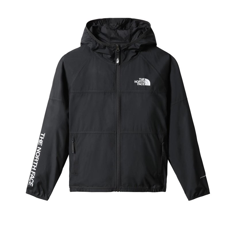 The North Face Never Stop WindWall Hoodie